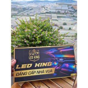 Led Nội Thất - Ultra colorful Ambient Light